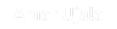 AI Calling Company